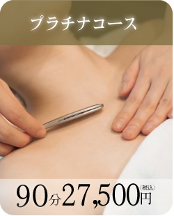 プラチナコース