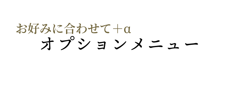 オプションメニュー