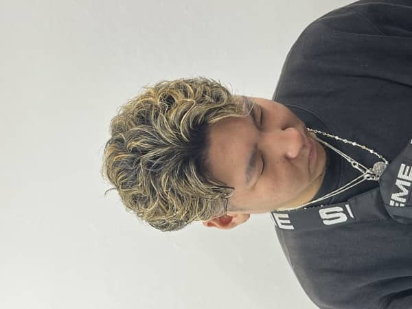 メッシュスタイル