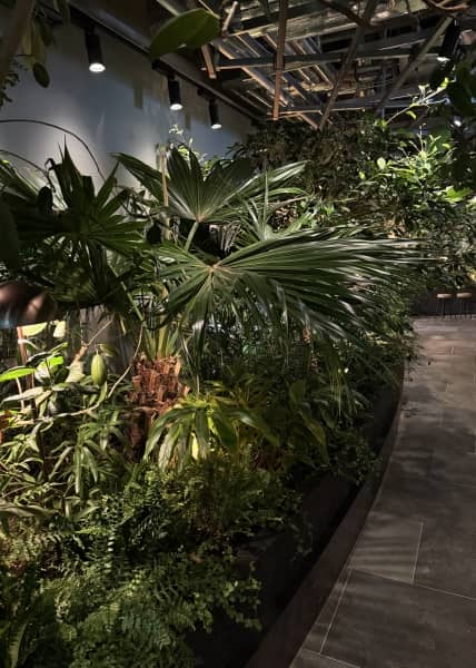 高輪の植物園