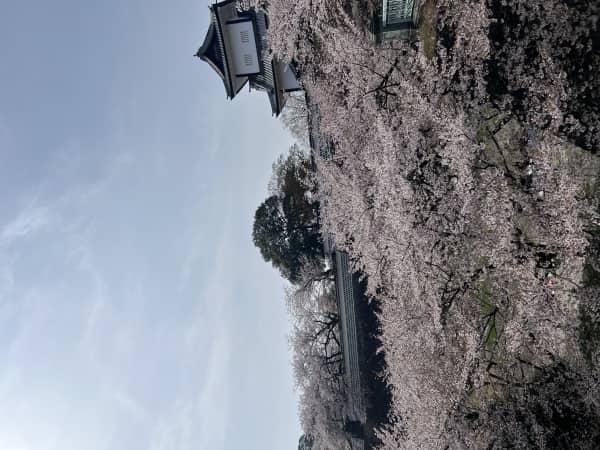 金沢