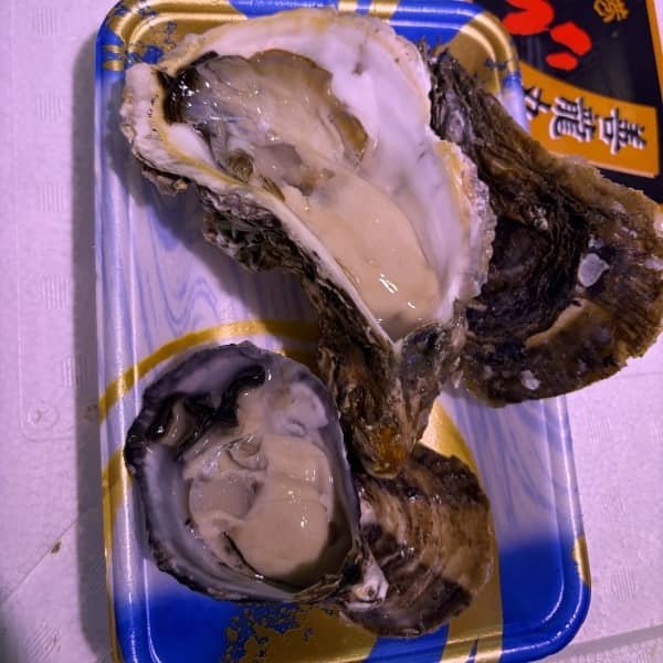 【絶品グルメ】一口では収まらない！？仙台で味わうプリプリの超巨大生牡蠣