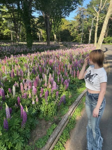お花畑💐