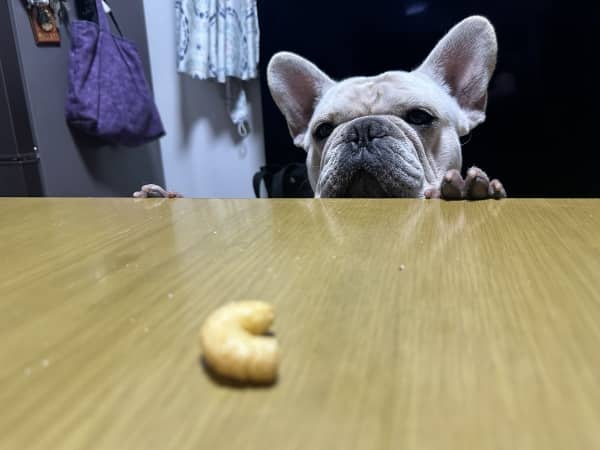 底知れぬ食への渇望