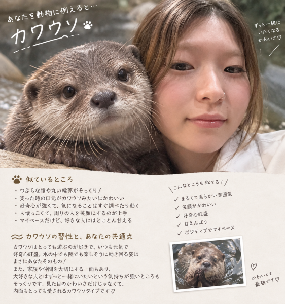 自分を動物で例えると、。