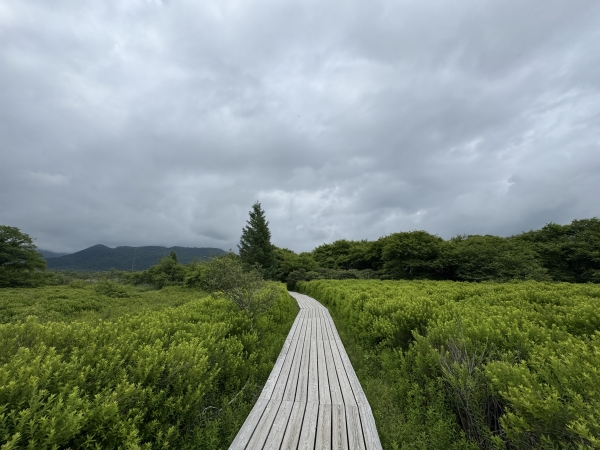 圧巻の景色