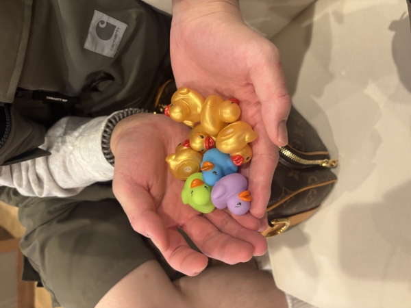 ひよこたくさん🐥
