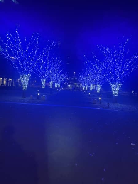 お家の近くでも