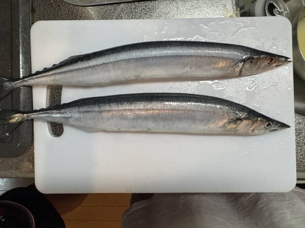 秋は秋刀魚！
