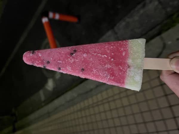 夏が来た！