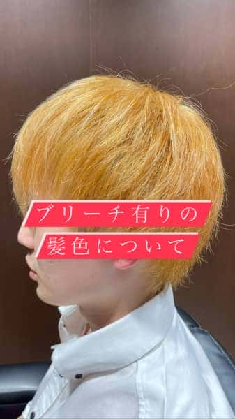 ブリーチについて