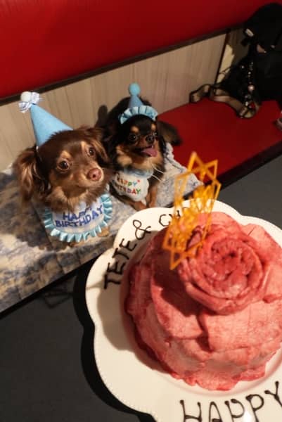 愛犬のお誕生日会！！！