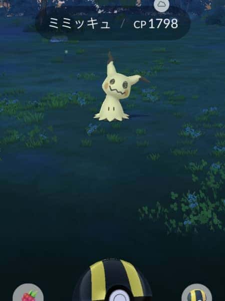 サプライズ