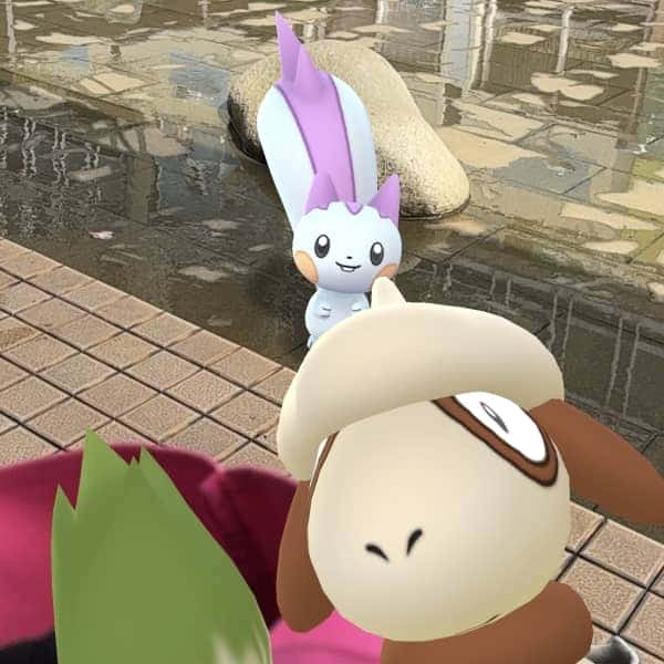 偶然の出会い