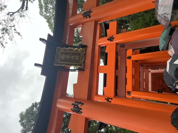 久しぶりのブログ
