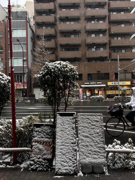 雪の話